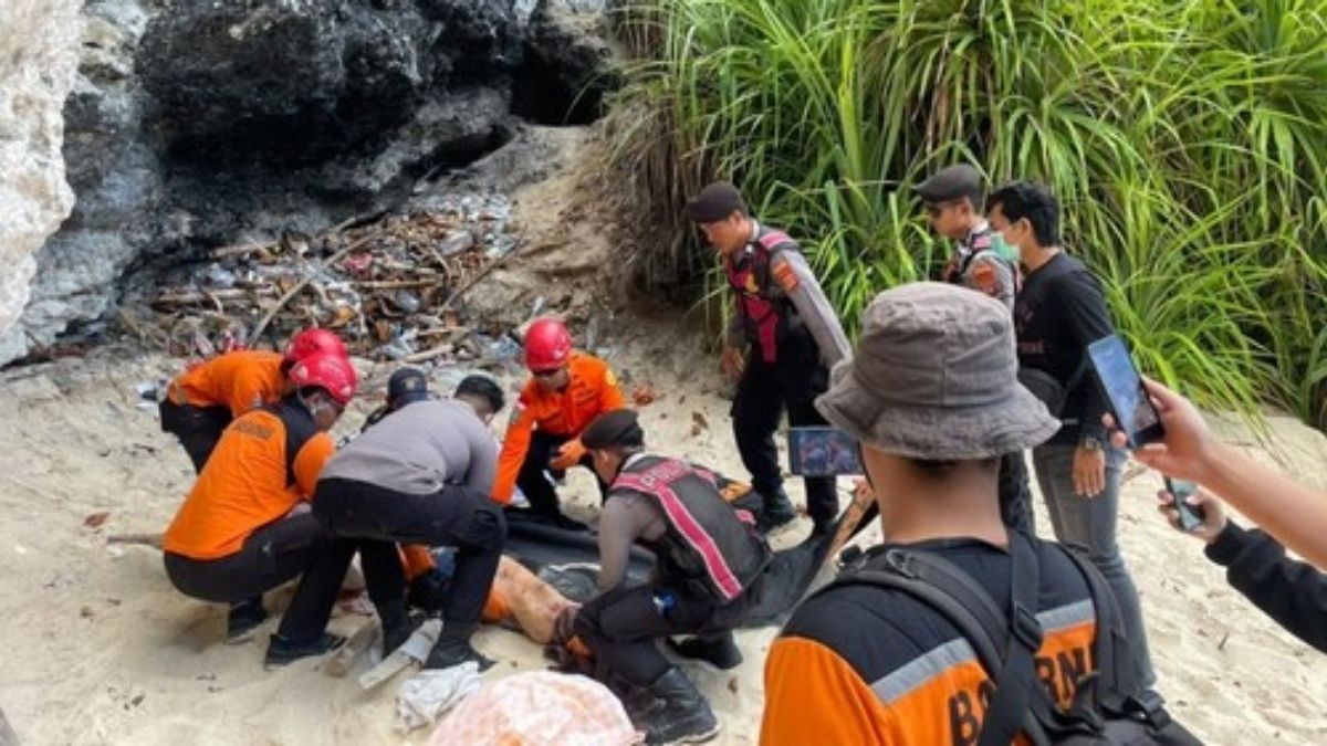 Australian ecologist dies after falling from cliff at Kelingking Beach.jpg