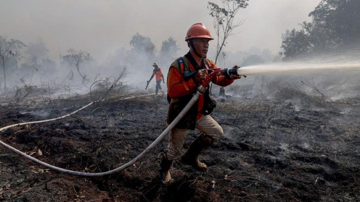 Indonesia inspects four West Kalimantan forestry firms as dry-season fire risks rise across Borneo