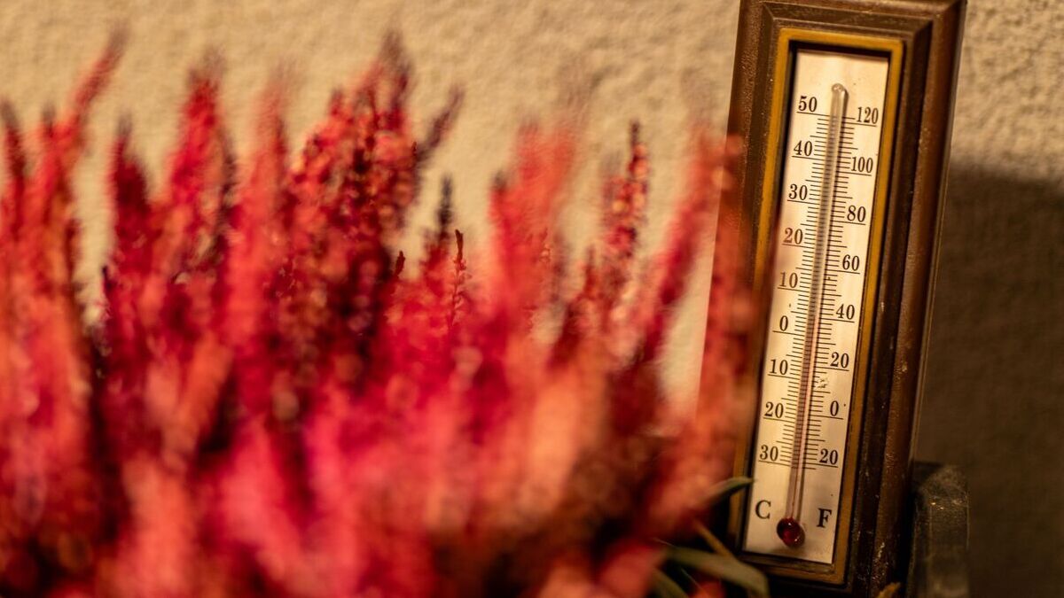 Heatwave.jpg