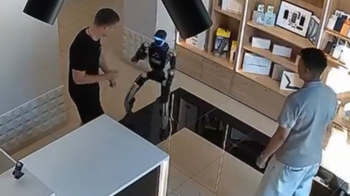 Humanoid robot appears to strike back after customer pushes it in Russian electronics store