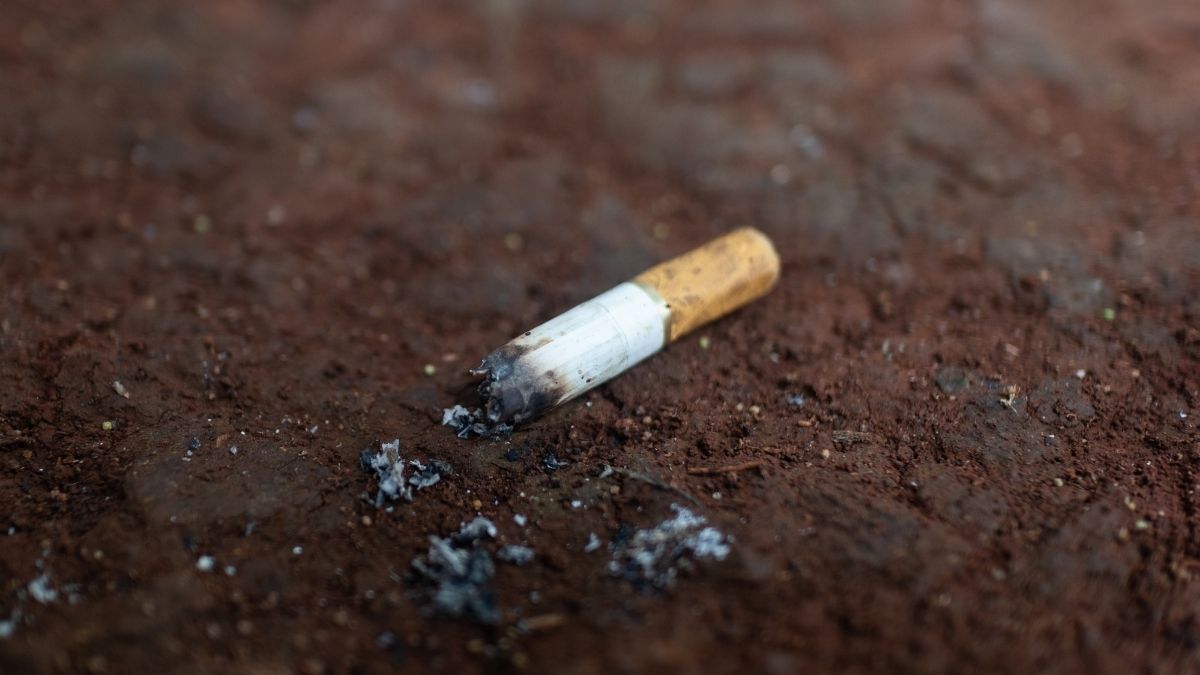 Indonesian man becomes first in Malaysia to serve jail term for littering.jpg