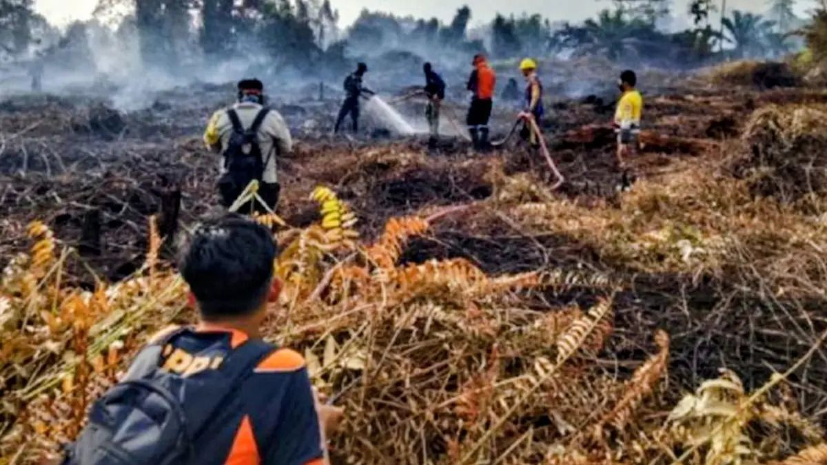 Kalimantan fires intensify as haze raises cross-border concerns