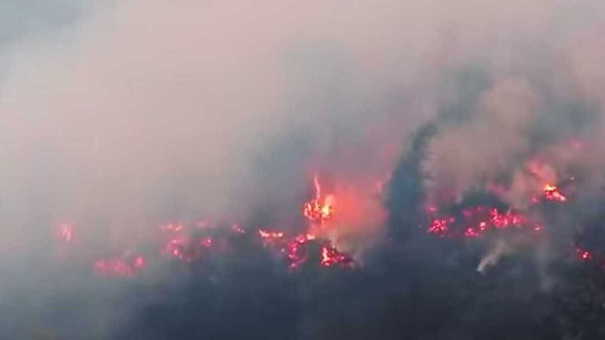 Kalimantan fire September 2026.jpeg