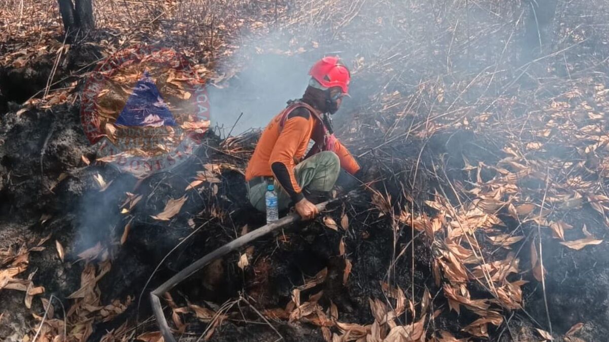 Indonesia denies palm oil and mining tycoon Haji Isam was appointed to lead Kalimantan fire response