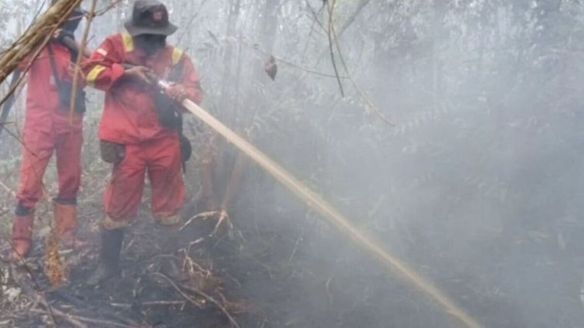 Indonesia sends more firefighting equipment to Kalimantan as haze risk persists