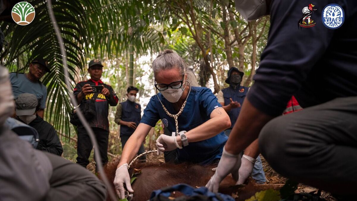 RESCUE KUMBANG PADU BANJAR_20260912.jpg