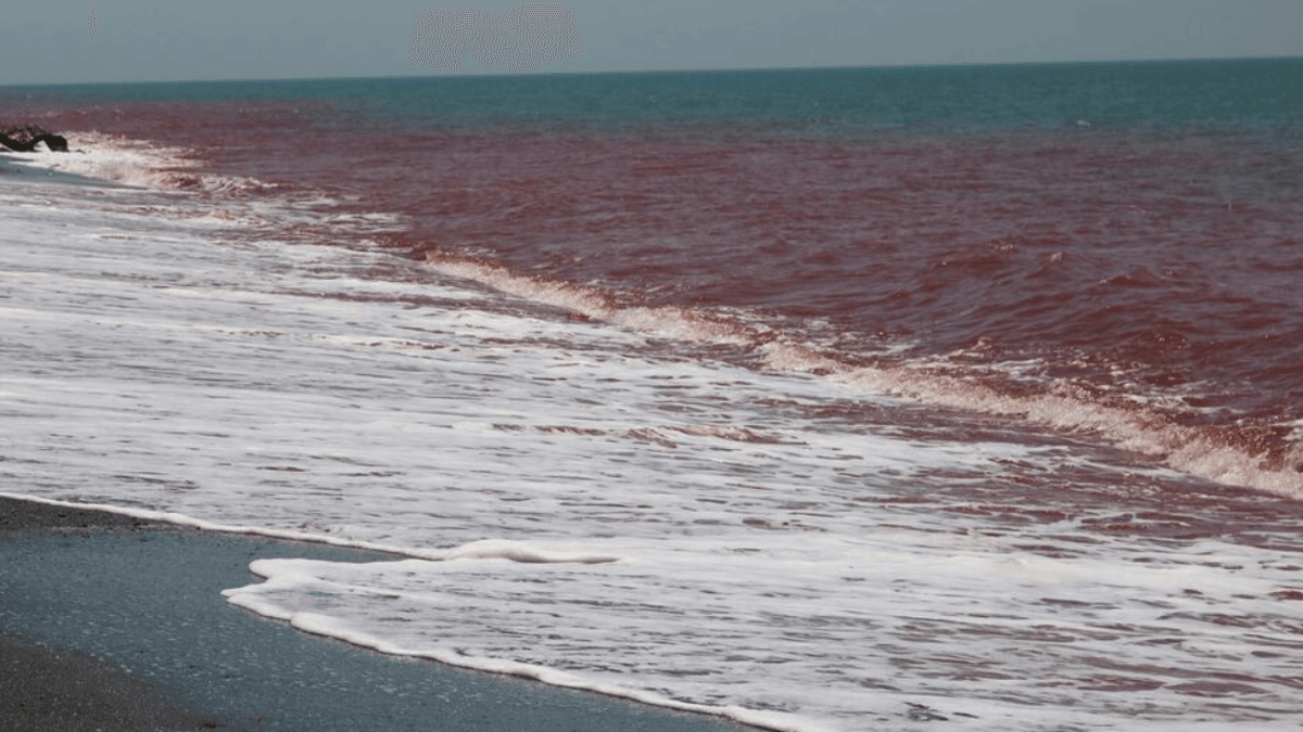 Straits of Hormuz.png