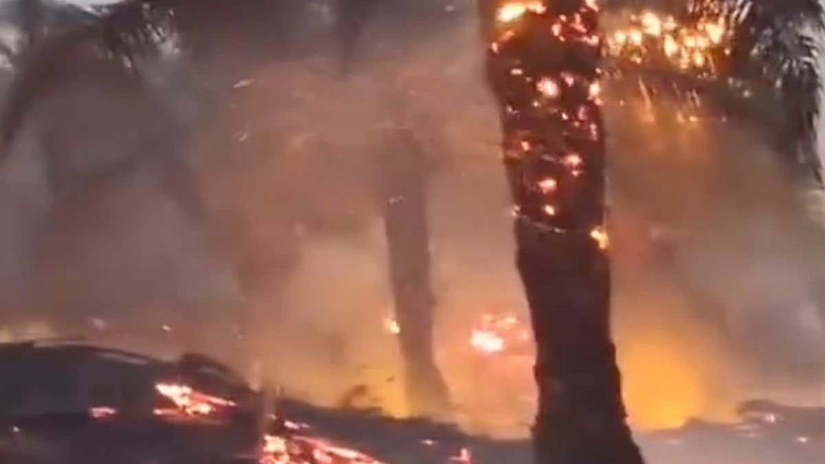Forest and land fires shroud Indonesia’s Nabire in thick haze, disrupt flights