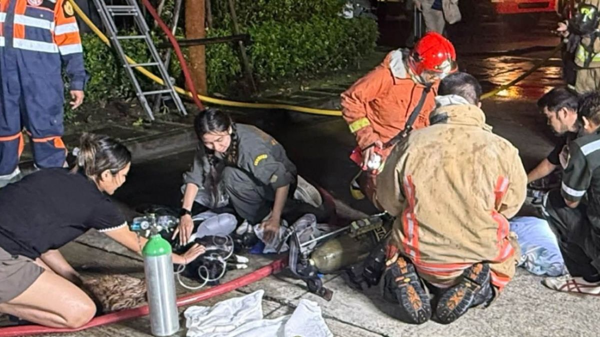 Couple and about 30 cats die in Nonthaburi house fire, police probe cause