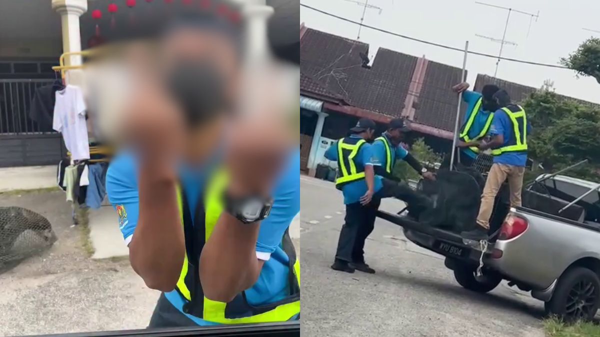 Municipal council in Johor probes alleged dog mistreatment, obscene gesture during stray-dog operation